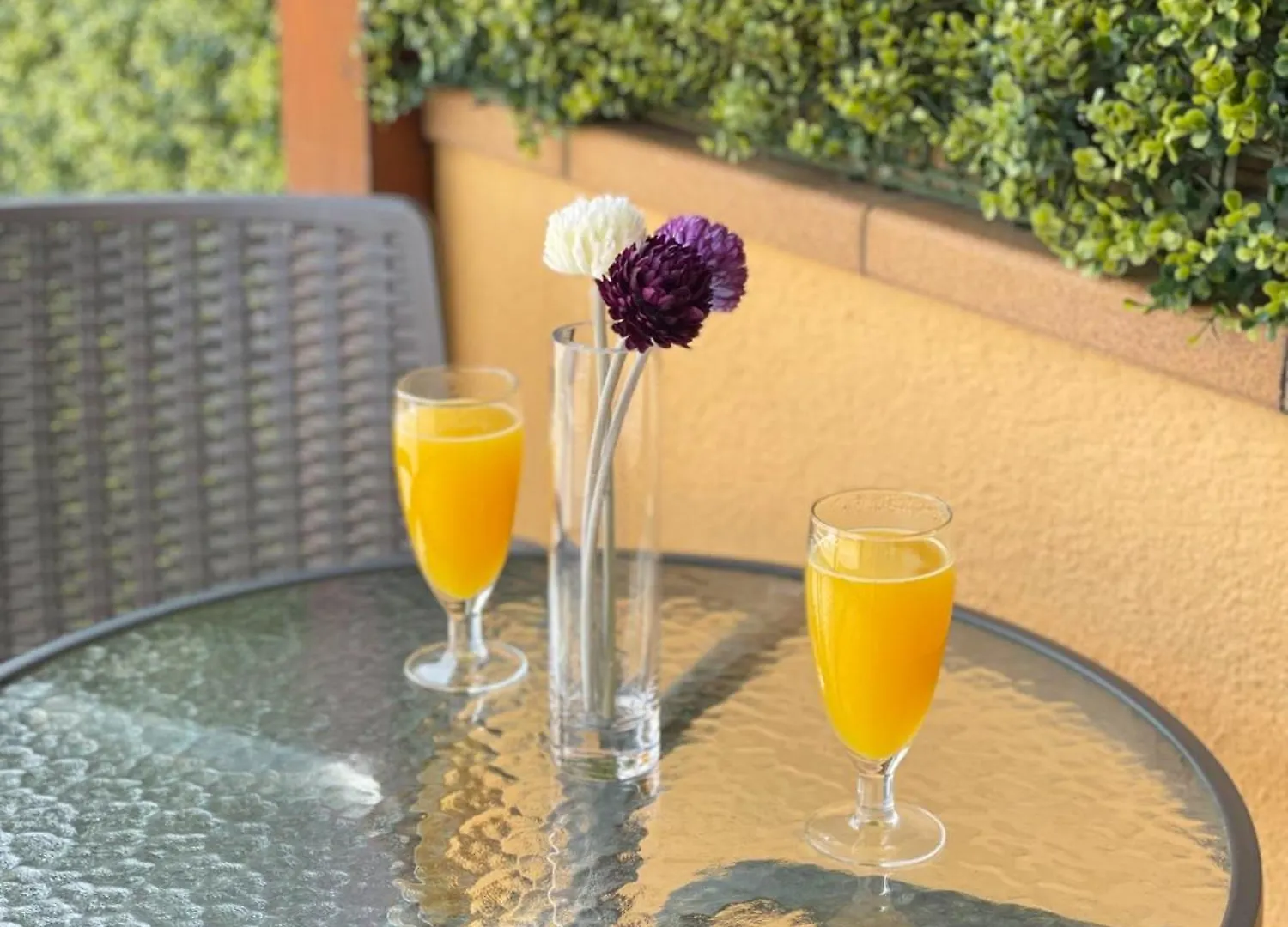 Hotel Turissa Tossa de Mar Spain